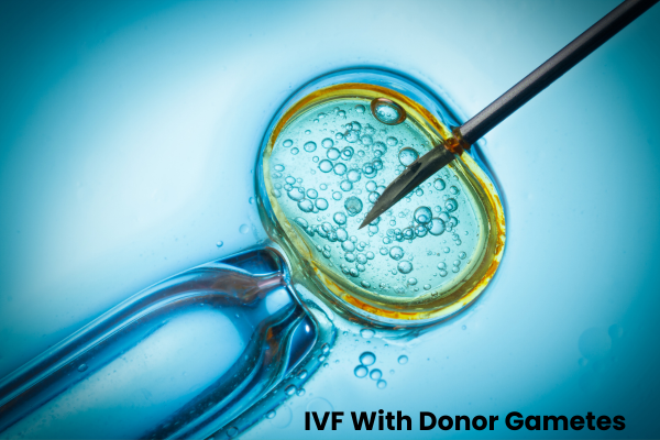IVF macro concept