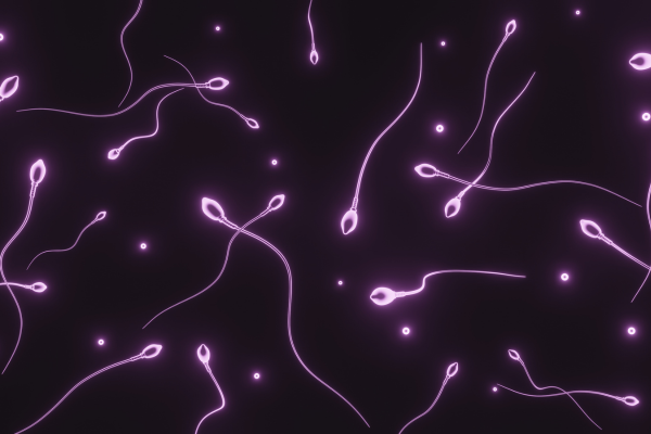 A 3D rendering of purple microscopic sperm, illustrating the concept of sperm disorders.