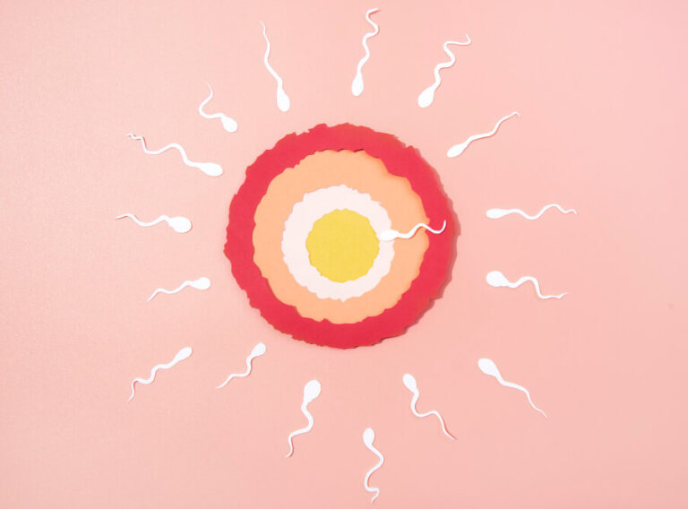 Understanding Donor Eggs and Donor Sperm in IVF