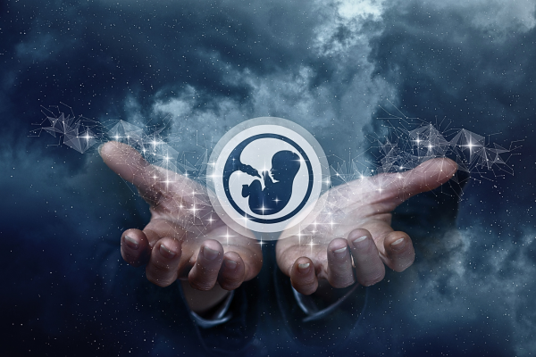 Person's hands holding a human embryo on a blue background, symbolizing hope in Infertility Treatment: A Guide to Donor Egg and Sperm.