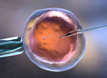 Coping with the Emotional Journey of Infertility Treatment: A Guide to Donor Egg and Sperm Coping with the Emotional Journey of Infertility Treatment: A Guide to Donor Egg and Sperm