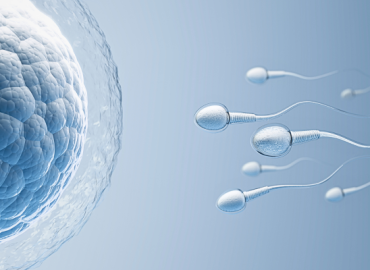 Sperm swimming toward the egg bubble, symbolizing conception and hope in Fertility and Quality of Life: A Psychotherapist’s Perspective.